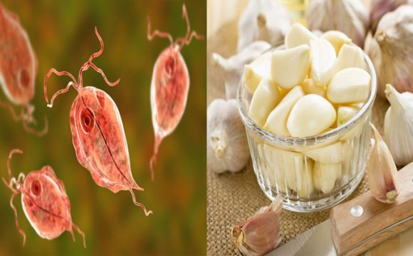 11 Loại thực phẩm giúp sạch ký sinh trùng đường ruột