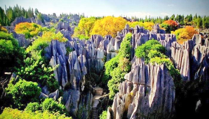 Khu rừng đá Thạch Lâm đã trải qua 270 triệu năm tuổi